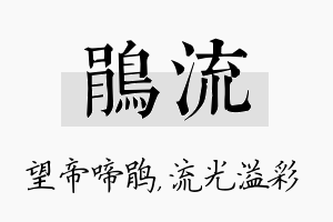 鹃流名字的寓意及含义