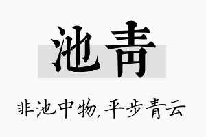 池青名字的寓意及含义