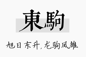 东驹名字的寓意及含义