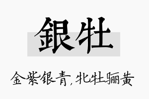 银牡名字的寓意及含义