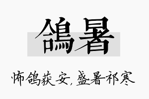 鸽暑名字的寓意及含义