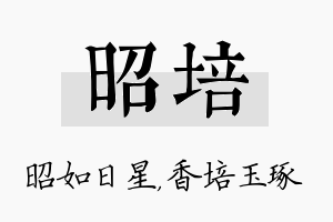 昭培名字的寓意及含义