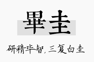 毕圭名字的寓意及含义