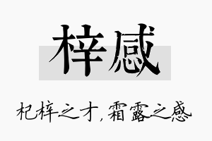 梓感名字的寓意及含义