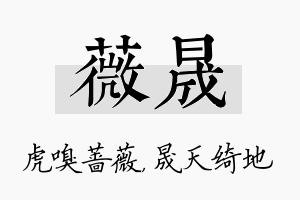 薇晟名字的寓意及含义