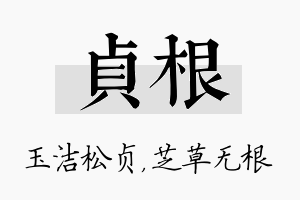 贞根名字的寓意及含义