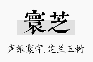 寰芝名字的寓意及含义