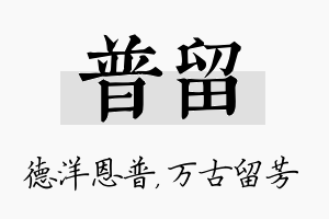 普留名字的寓意及含义