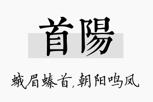 首阳名字的寓意及含义