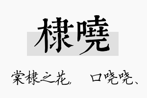 棣哓名字的寓意及含义