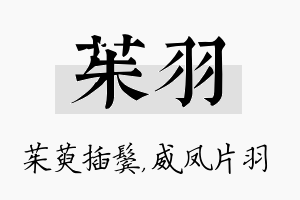 茱羽名字的寓意及含义