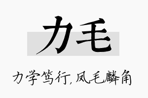 力毛名字的寓意及含义