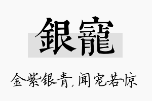 银宠名字的寓意及含义