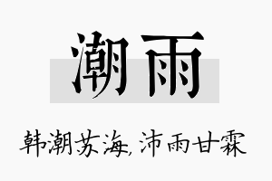 潮雨名字的寓意及含义