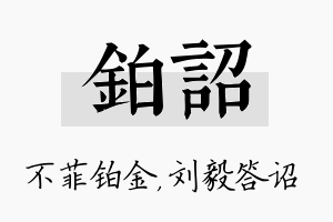 铂诏名字的寓意及含义