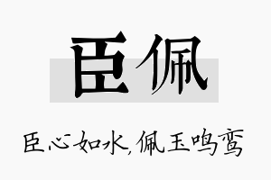 臣佩名字的寓意及含义