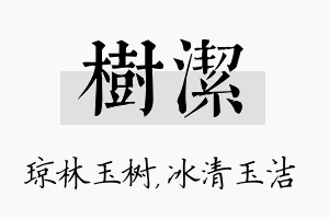 树洁名字的寓意及含义