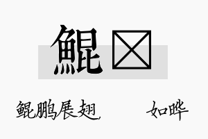 鲲珺名字的寓意及含义