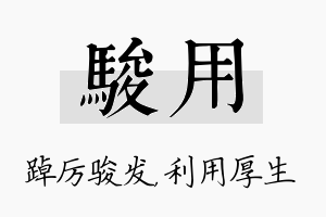 骏用名字的寓意及含义