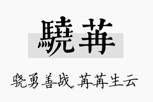 骁苒名字的寓意及含义