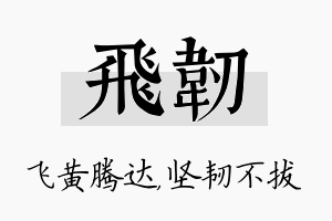 飞韧名字的寓意及含义