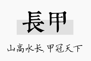 长甲名字的寓意及含义