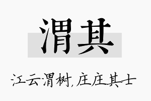 渭其名字的寓意及含义