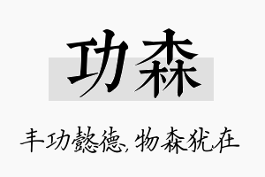 功森名字的寓意及含义