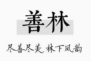 善林名字的寓意及含义