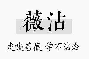 薇沾名字的寓意及含义