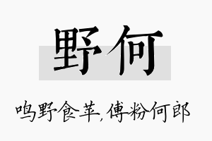 野何名字的寓意及含义