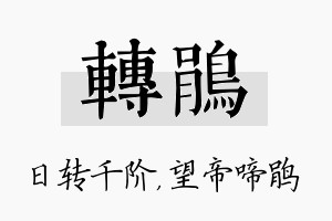 转鹃名字的寓意及含义