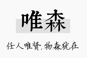 唯森名字的寓意及含义