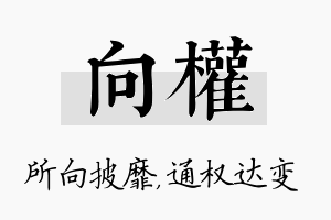 向权名字的寓意及含义