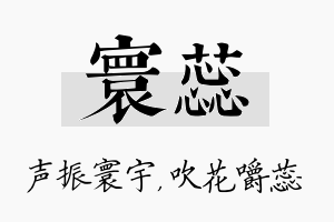 寰蕊名字的寓意及含义