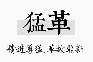 猛革名字的寓意及含义