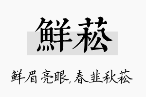 鲜菘名字的寓意及含义