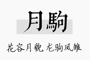 月驹名字的寓意及含义