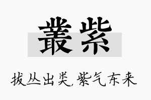 丛紫名字的寓意及含义