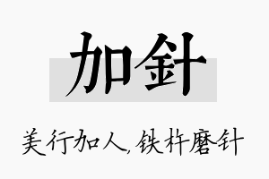 加针名字的寓意及含义