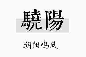 驍阳名字的寓意及含义