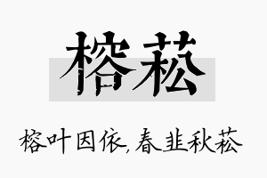 榕菘名字的寓意及含义