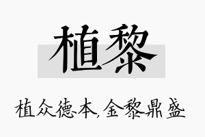 植黎名字的寓意及含义