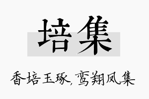 培集名字的寓意及含义