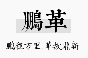 鹏革名字的寓意及含义