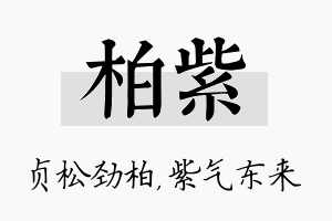 柏紫名字的寓意及含义