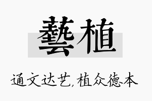 艺植名字的寓意及含义