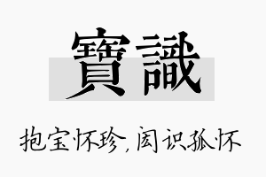 宝识名字的寓意及含义