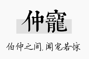 仲宠名字的寓意及含义