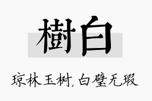 树白名字的寓意及含义